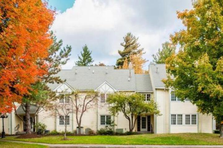 Overlook 1D Condo - thumb 6