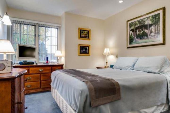 Overlook 1D Condo - thumb 3