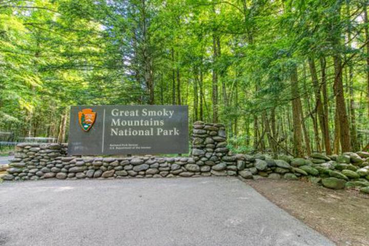 Sheer Elegance - thumb 3