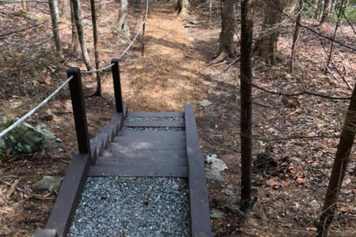 On The Rocks - thumb 4