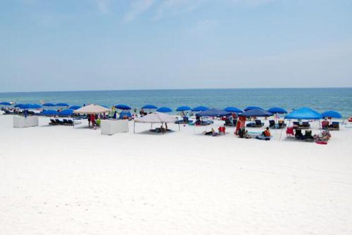 Seaside Beach & Racquet 5415 Condo - thumb 5