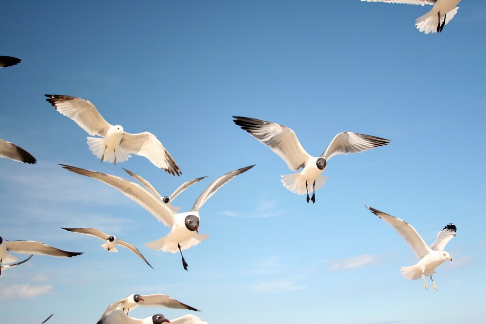 New Listing! 9th Floor River View W / Balcony 1 Bedroom Condo - thumb 3