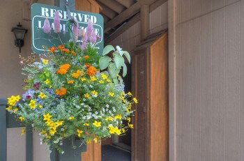 Angelhaus A109 - thumb 4