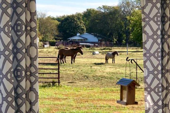 Mid Century Modern Oasis With Spacious Patio! - thumb 3