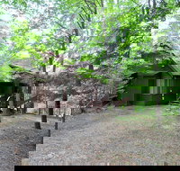 Treetop - USA Accommodation