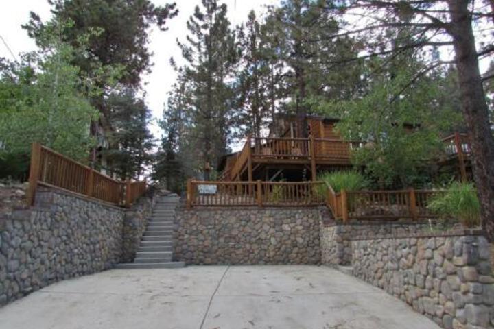 081 Arizona Bear Home - thumb 0