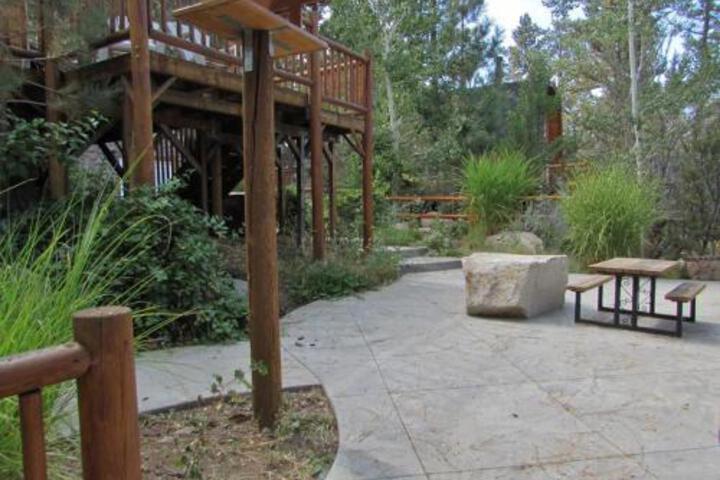 081 Arizona Bear Home - thumb 3