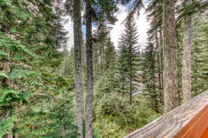 Brooke & Dans Retreat 3 Bedroom Home Plus A 2 Bedroom Apartment - thumb 5