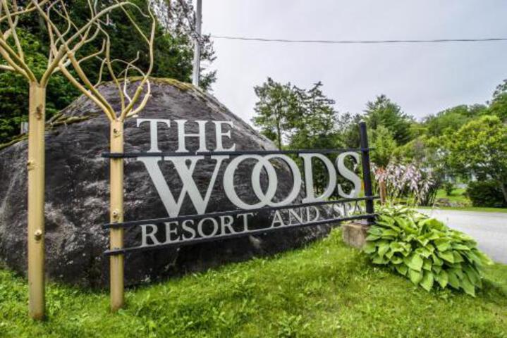 The Woods: Village 46 - thumb 3