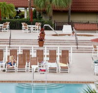 The Suites at Magic Tree - Tourism Bookings