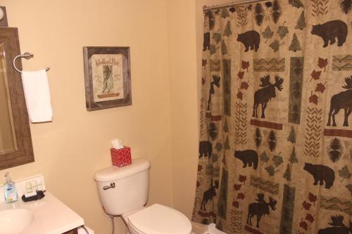 Tweetsie Retreat 3 Br Home - thumb 3