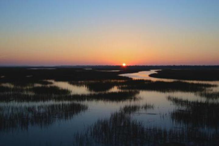 Live Oaks River House - thumb 6
