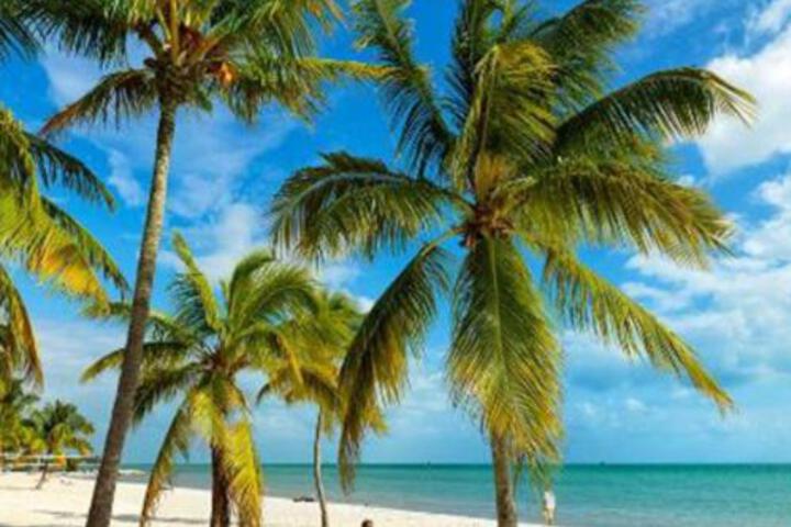 Olivia Street Retreat - thumb 6