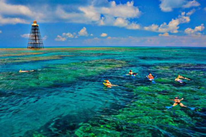 Olivia Street Retreat - thumb 4