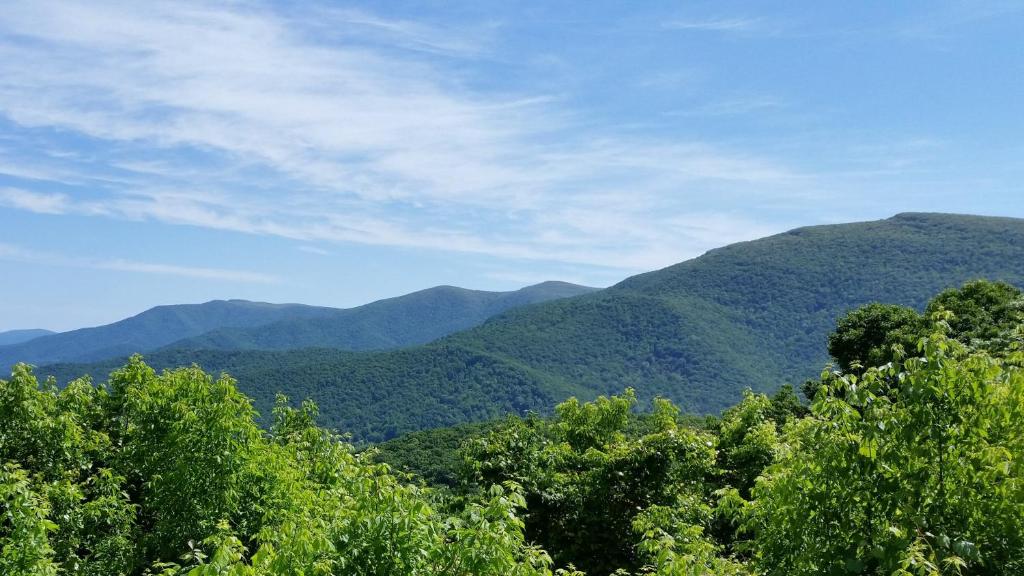 High Ridge - thumb 7