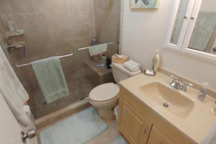 Ocean Village Coral Cluster 1224 - thumb 4