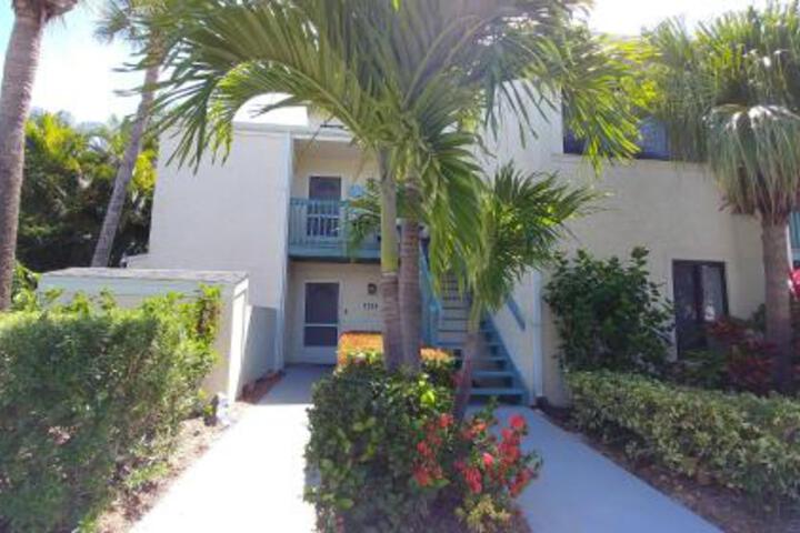 Ocean Village Coral Cluster 1224 - thumb 6