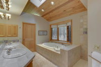 Among the Trees  on the Trails