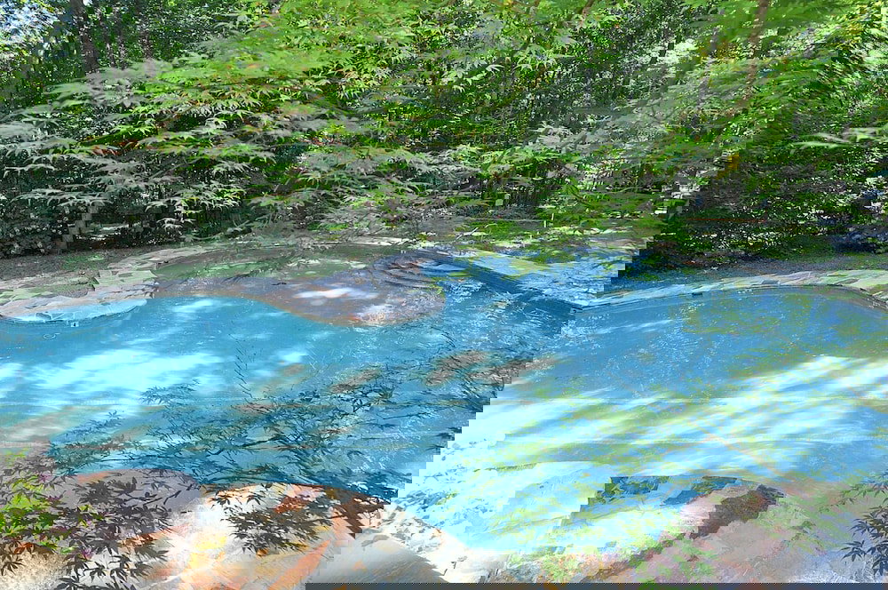 A Woods View - thumb 3