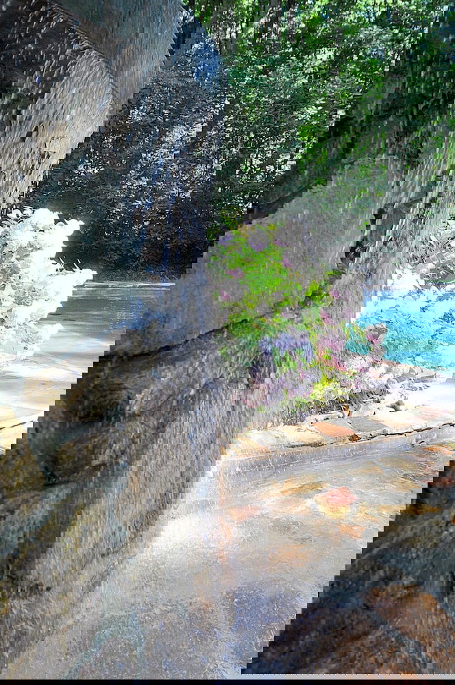 A Woods View - thumb 1