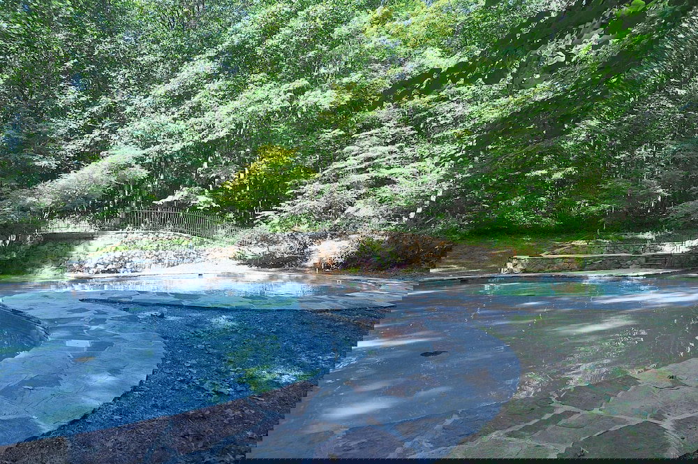 A Woods View - thumb 2