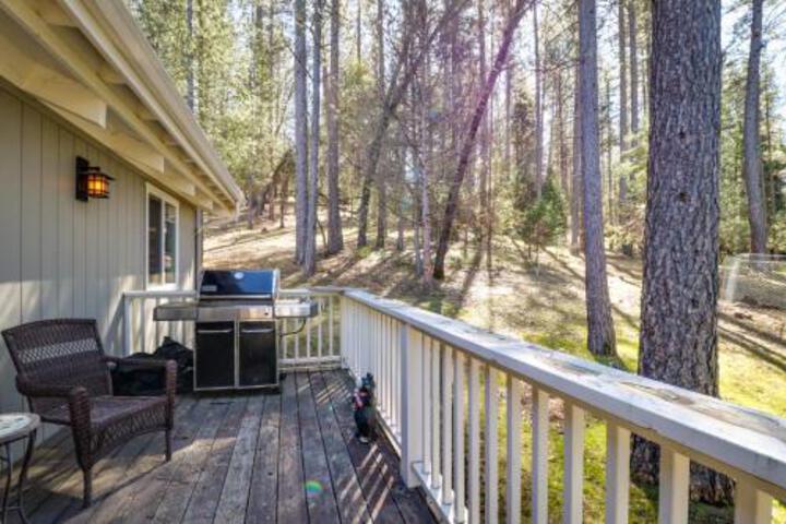 Pine Mountain Magic - thumb 4