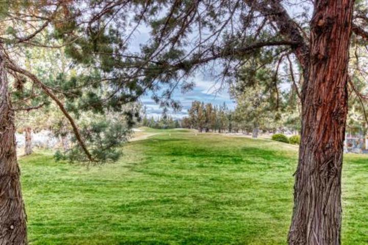 Ridge & Pine - thumb 2