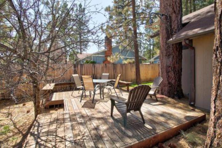 Shady Lady - thumb 1