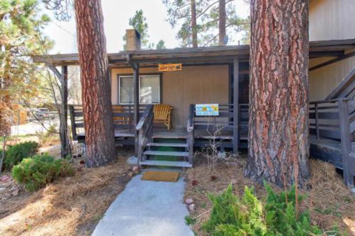 Shady Lady - thumb 2