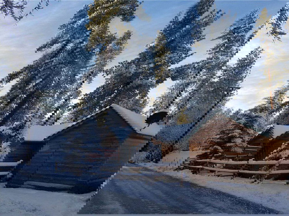 Pine Forest Cabin - thumb 2