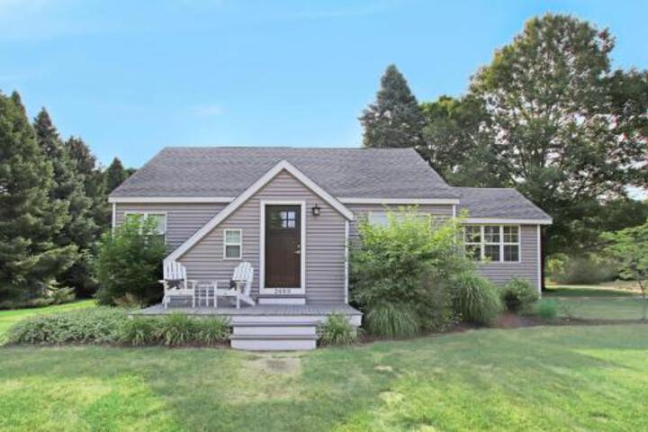 Out & About - thumb 6