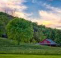 Mountain Springs Cabins - USA Accommodation