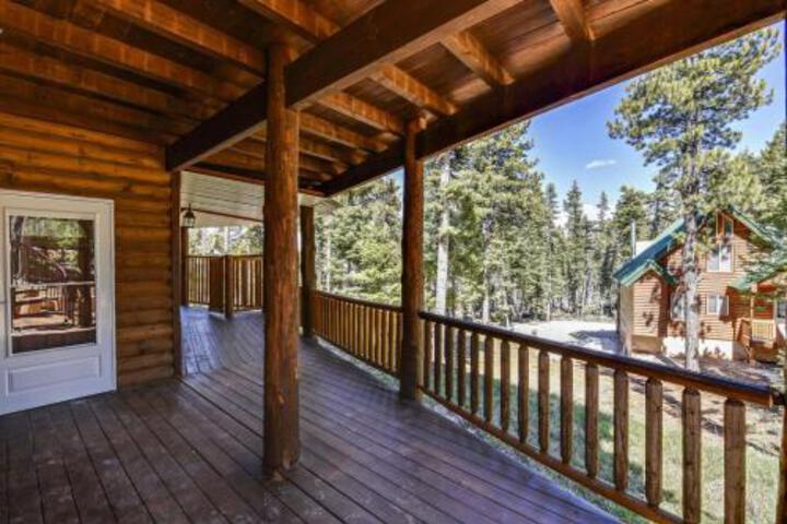 Empty Saddle - thumb 6