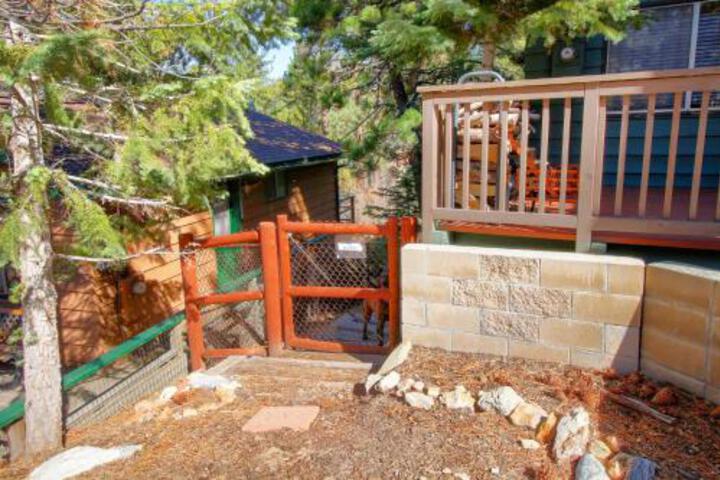 Talbot Treasure - thumb 3