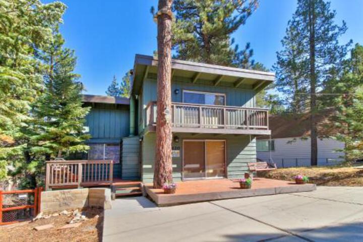 Talbot Treasure - thumb 4