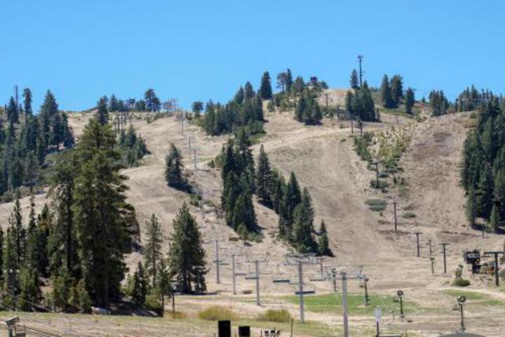 Twice As Nice - thumb 5