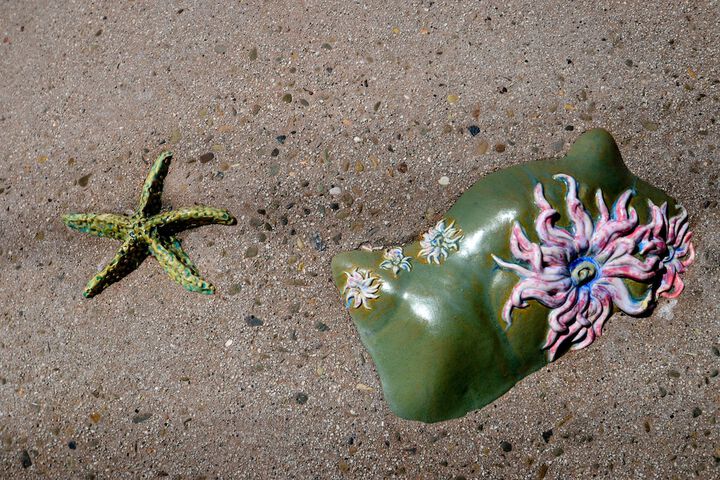 Ocean Pacific Lodge - thumb 1