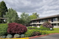 Village Inn Springfield