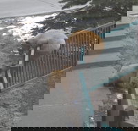 Mountainback at Mammoth - Tourism Bookings