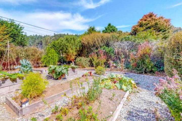 Albion Garden Cottage - thumb 2