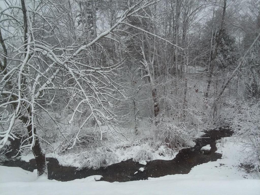 1810 House Bed & Breakfast - thumb 3