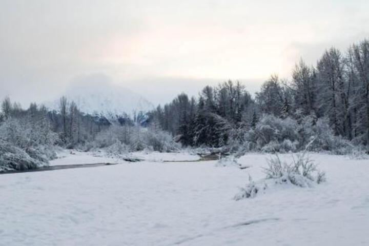 Fort Lindy - thumb 2