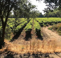 Tentrr The Vineyard - Tourism Bookings