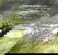 Tentrr Pondwood Pines in Wonalancet - Tourism Bookings