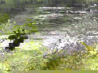 Tentrr Pondwood Pines in Wonalancet