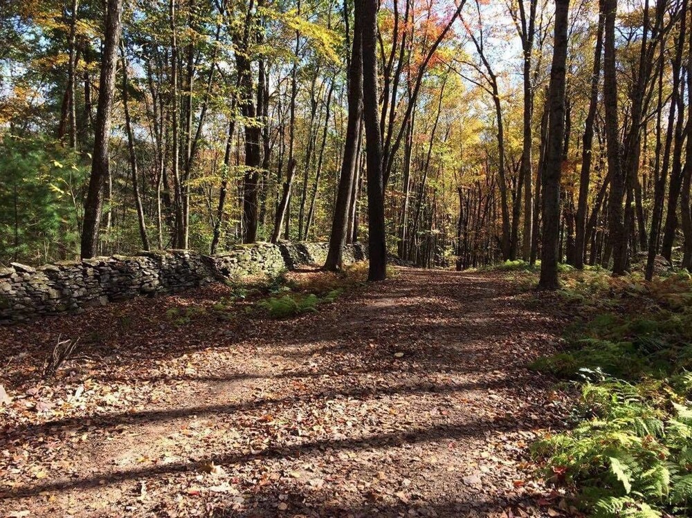 Tentrr Swinging Bridge Sanctuary - thumb 5