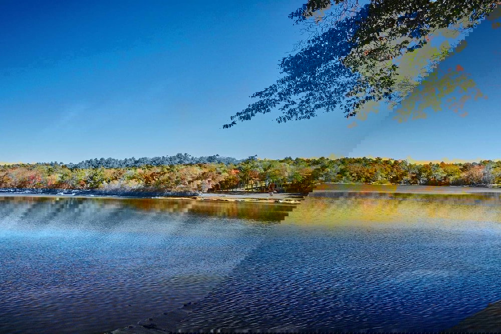 Tentrr Swinging Bridge Sanctuary - thumb 6