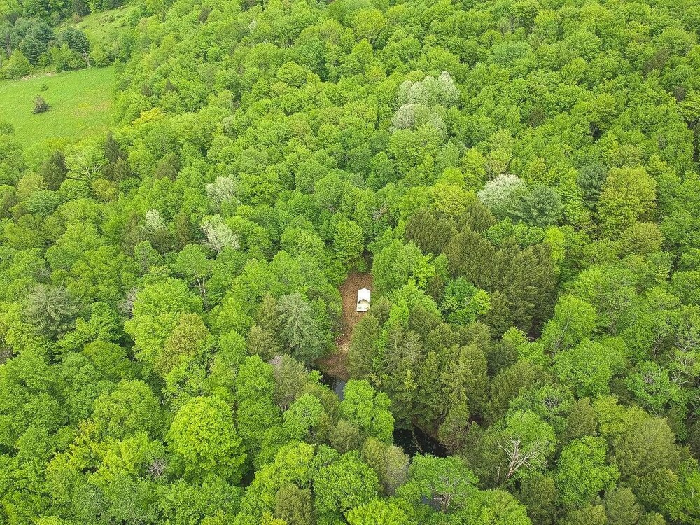 Tentrr Catskill Mountainside Camp Campsite - thumb 2