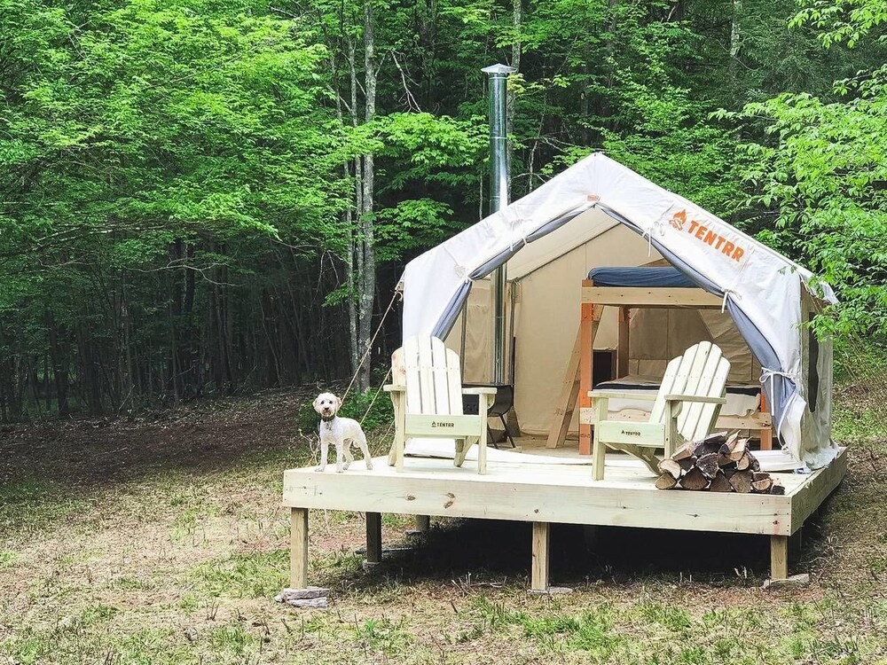 Tentrr Catskill Mountainside Camp Campsite - thumb 6