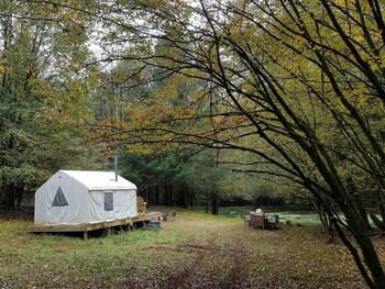 Tentrr Catskill Mountainside Camp Campsite - thumb 5